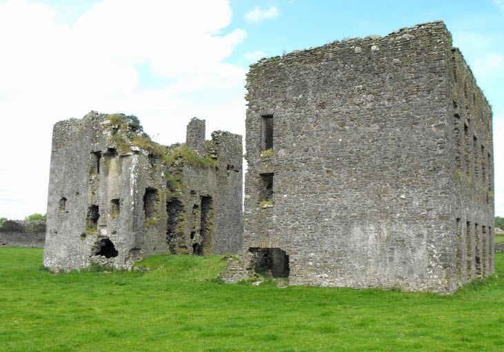 Ballinakill Castle, Ireland
